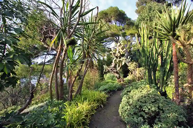 Cactus garden villa Ephrussi in St Jean Cap Ferrat